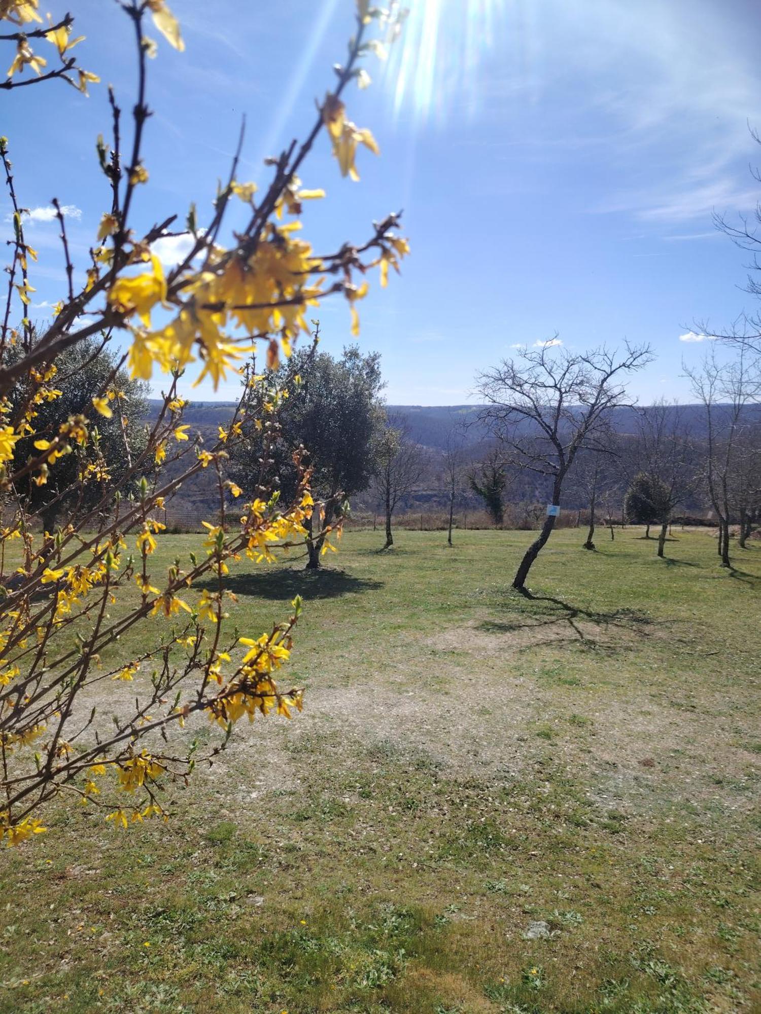 Gites Des Deux Vallees La Borieta Du Causse - Rocamadour Ngoại thất bức ảnh