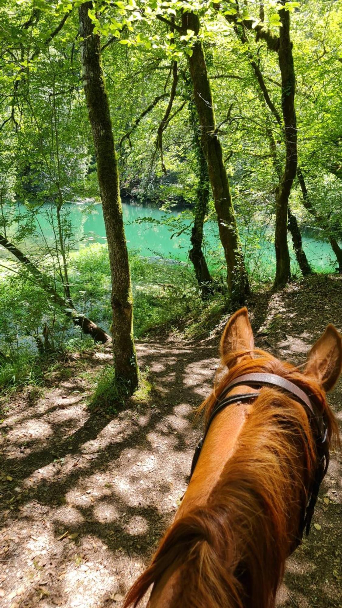 Gites Des Deux Vallees La Borieta Du Causse - Rocamadour Ngoại thất bức ảnh